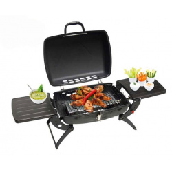 Barbecue gaz grill et plancha